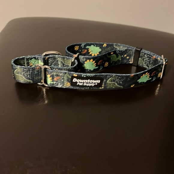 Dinosaur Dog Collar - Picture 1 of 3